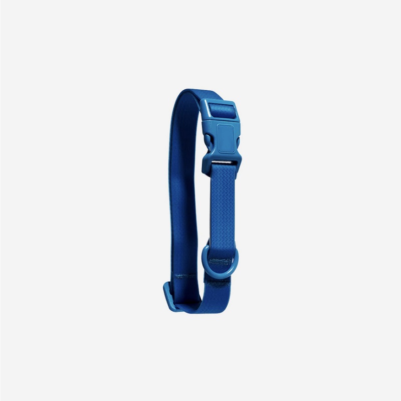 Transparent Rubber Coated Dog Collar YC-DC1029